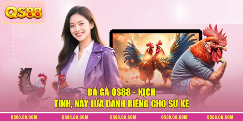 Đá Gà QS88 - Kịch Tính, Nảy Lửa Dành Riêng Cho Sư Kê